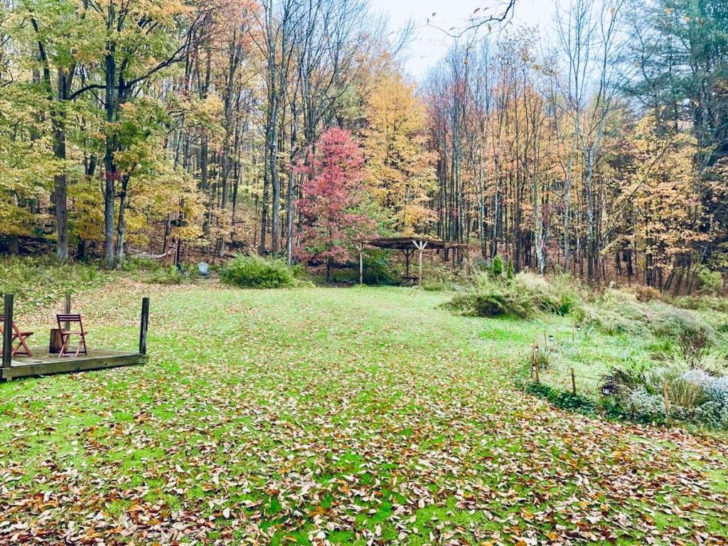 Cozy Cottage With Jacuzzi And Fire Pit And Reading Nook! Livingston Manor Ngoại thất bức ảnh